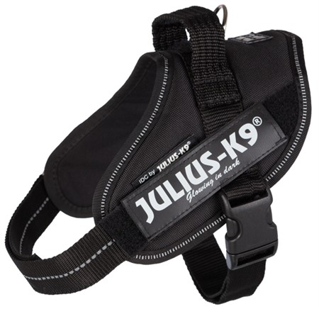 Julius-K9® IDC sele, Mini/M: 49-67 cm/22 mm, svart