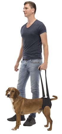 Promenadhjälp, M: 55-65 cm, svart