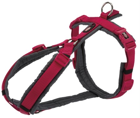Premium spårsele, L: 70-85 cm/25 mm, fuchsia/grafit