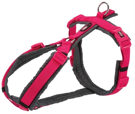(BV)Premium spårsele, XS-S: 32-38 cm/13 mm, fuchsia/grafitgrå