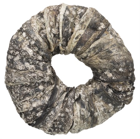 Denta Fun Tuggring, fisk, bulk, ø 10 cm, 110 g