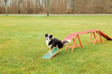 Agility ramp, 456 x 64 x 30 cm