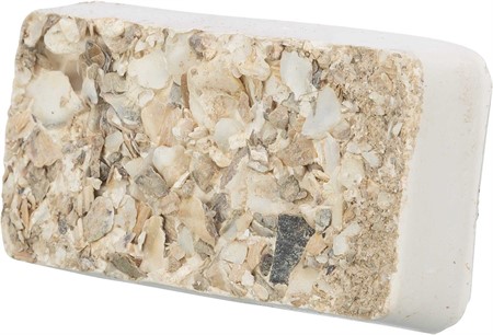 Mineralsten med snäckskal, 30 g