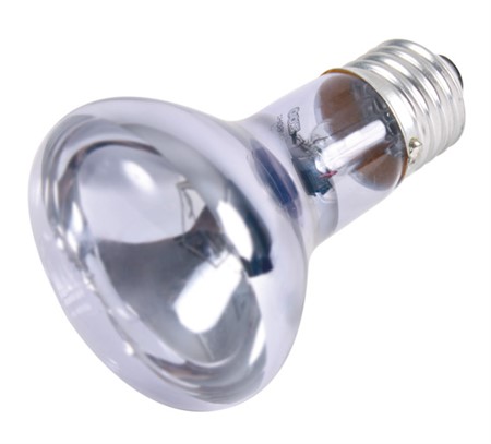 Terrarielampa Neodym spot, ø 63 × 100 mm, 75 W