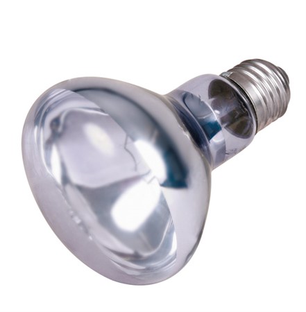 Terrarielampa Neodym spot, ø 80 × 108 mm, 100 W