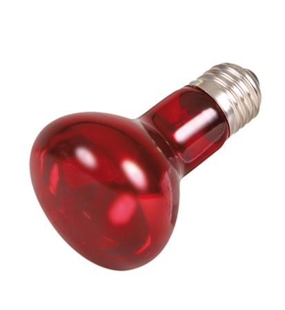 Terrarielampa Infraröd 63x100mm 50W