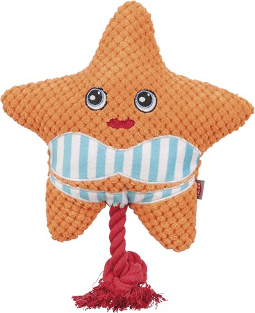 Sjöstjärna, 22 cm, orange