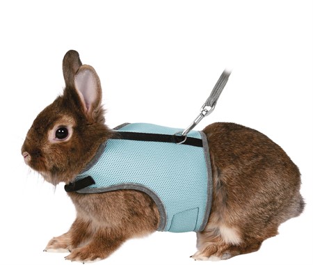 Softsele+koppel, dvärgkanin, 25-32 cm, 1.20m