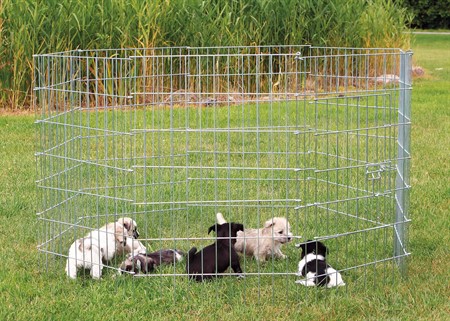 Valphage Metall, 8 sekt: 61 x 91 cm