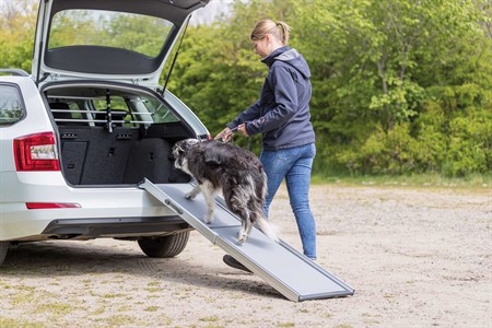 Ramp Petwalk, teleskopisk, 43 x 100-183 cm, aluminium, upp till 120 kg