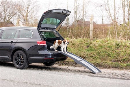 Ramp Petwalk, hopfällbar, 39 ×150 cm, plast, grå, upp till 25 kg