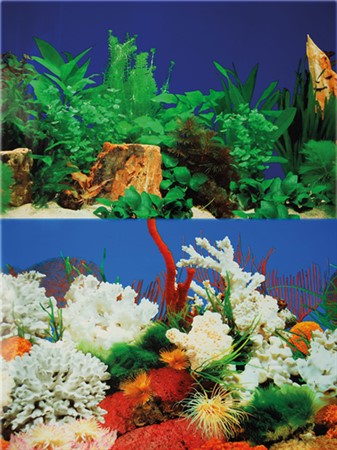 Z Akvariebakgrund 60cm x 15m Oasis / White coral